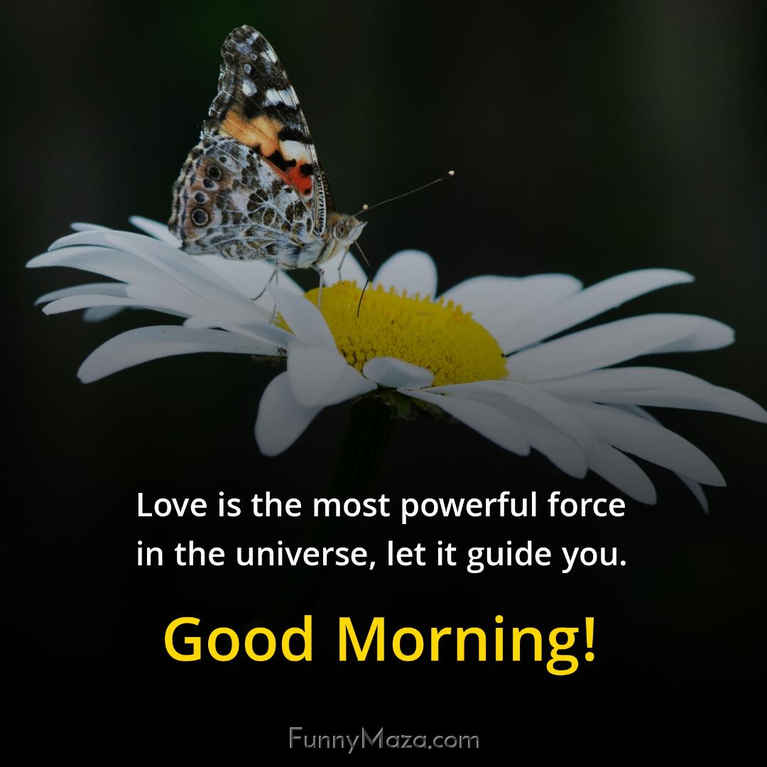 Love is the most powerful force in the universe let it