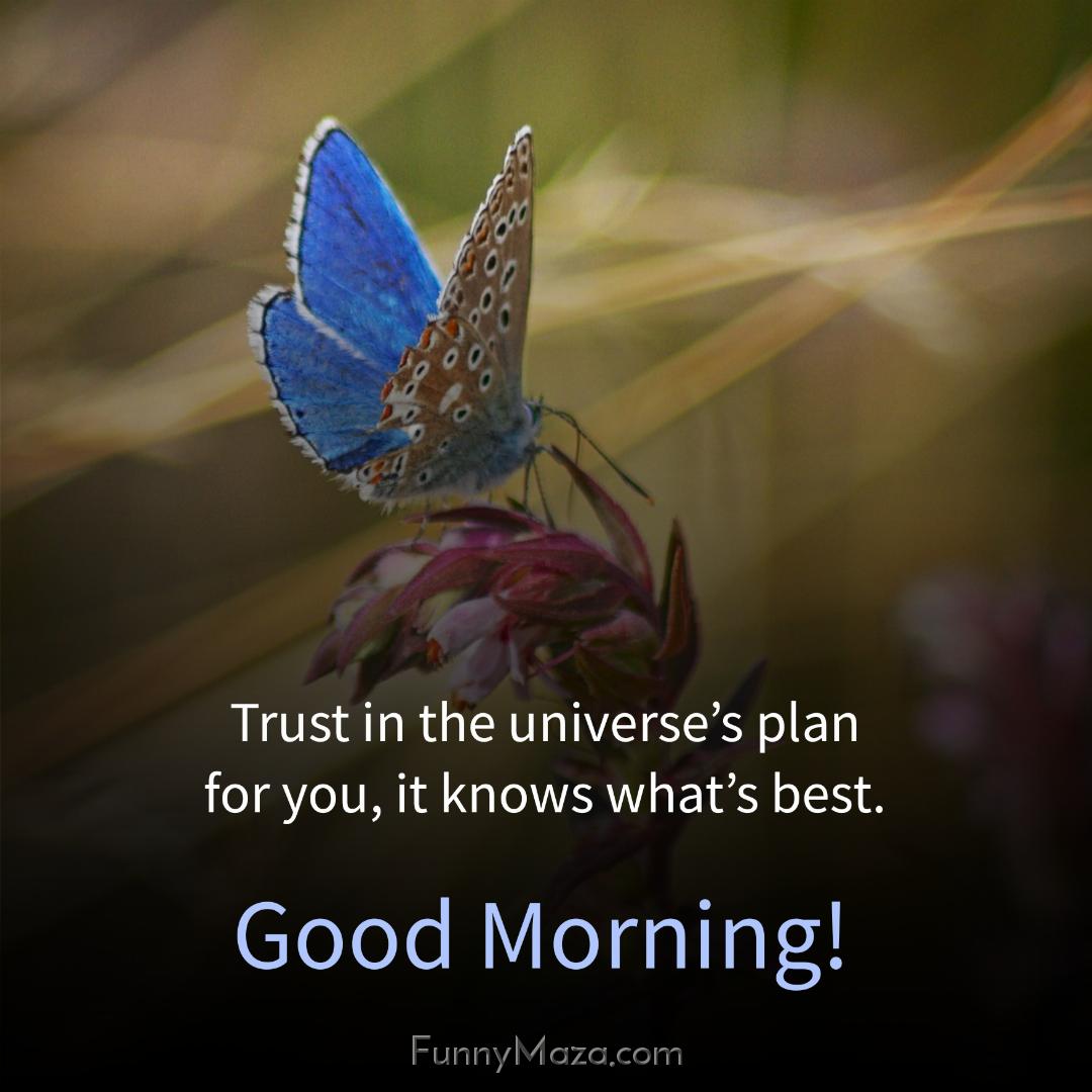 Trust in the universe’s plan for you it knows what’s best