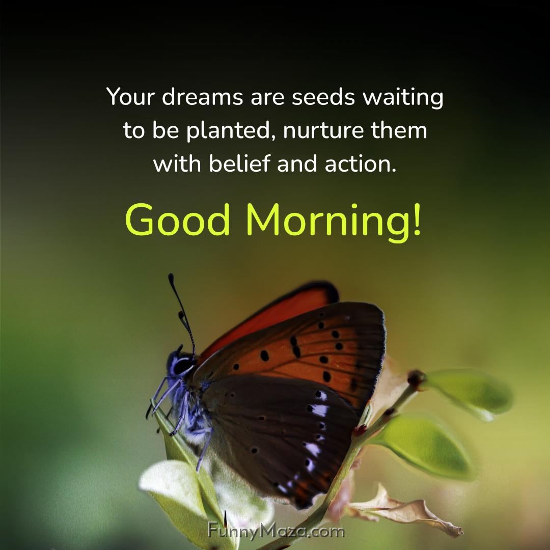 Your dreams are seeds waiting to be planted nurture them with