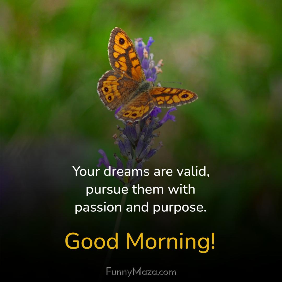 Your dreams are valid pursue them with passion and purpose