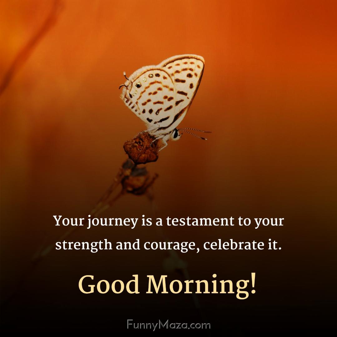 Your journey is a testament to your strength and courage celebrate