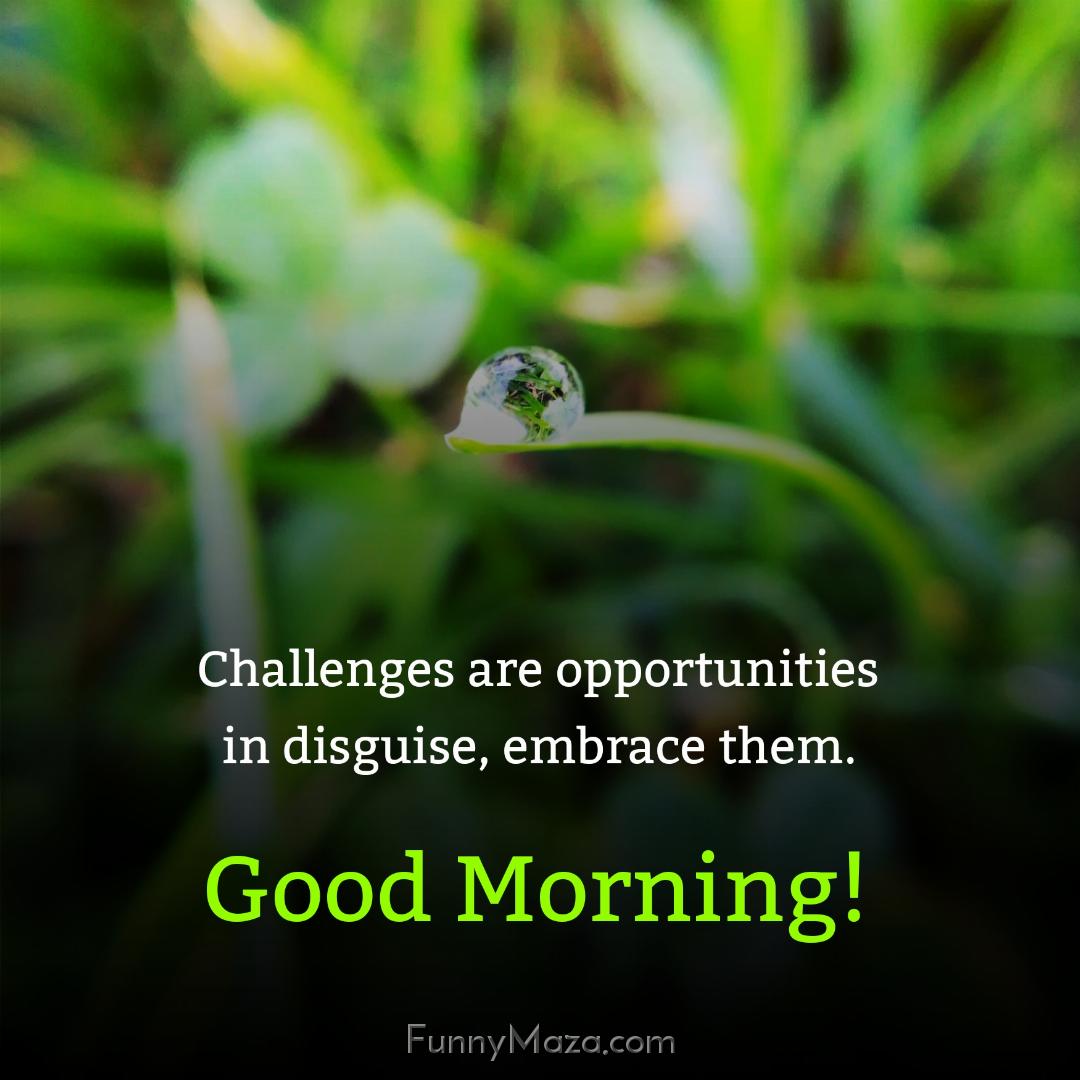 Challenges are opportunities in disguise embrace them