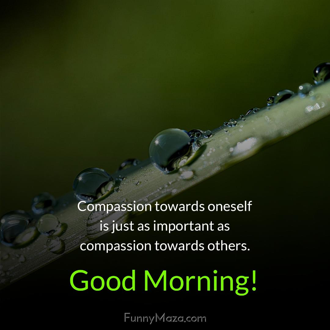 Compassion towards oneself is just as important as compassion towards others