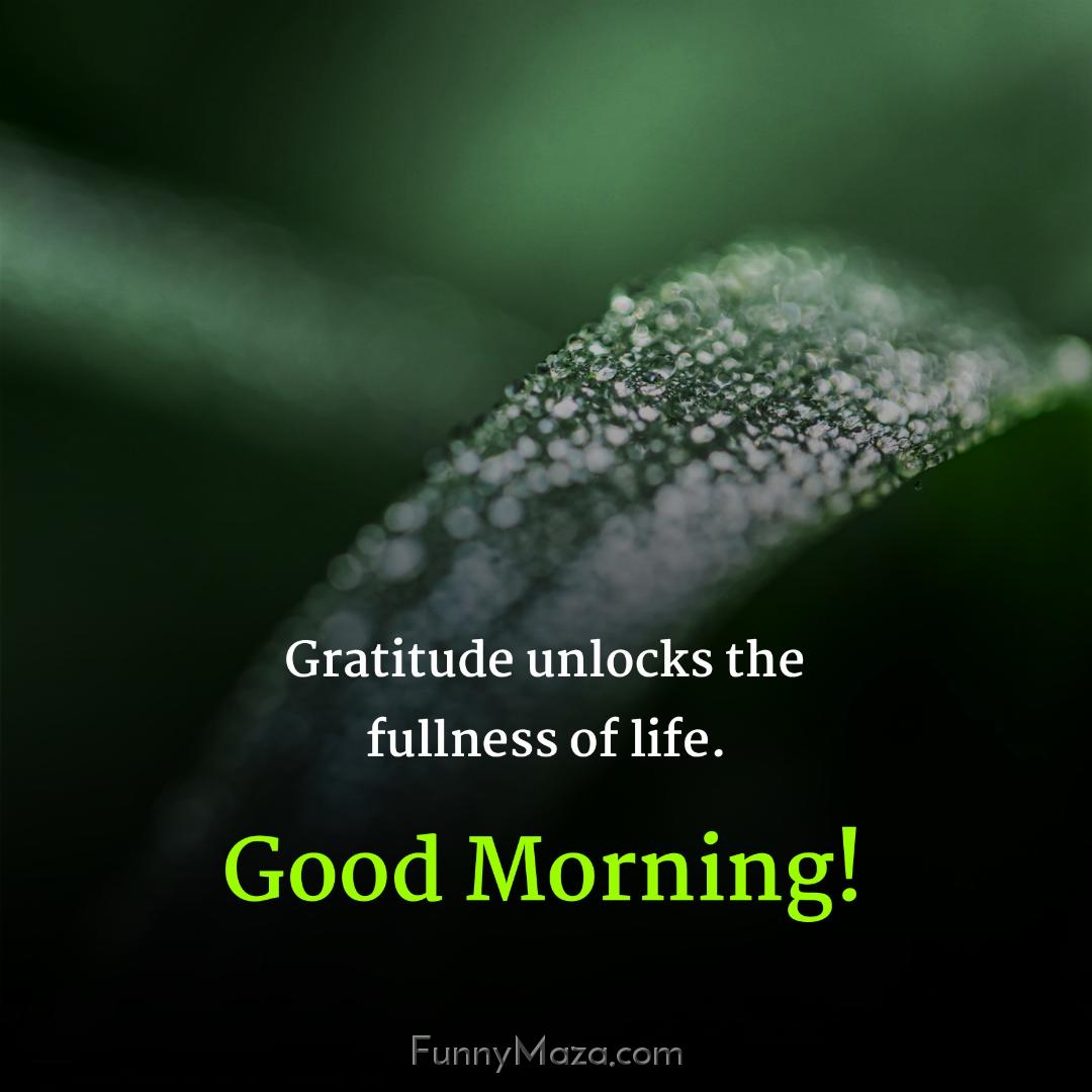 Gratitude unlocks the fullness of life