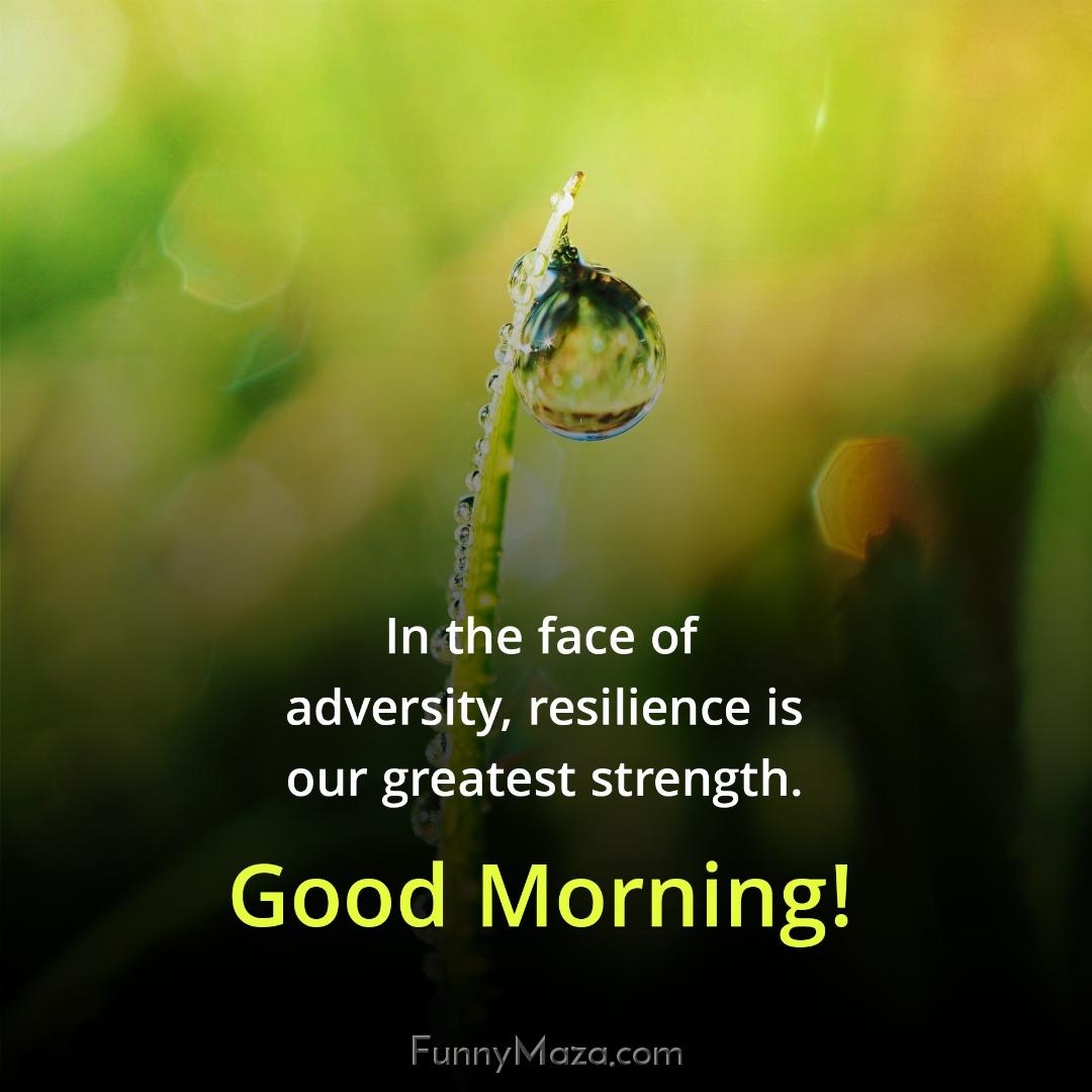 In the face of adversity resilience is our greatest strength