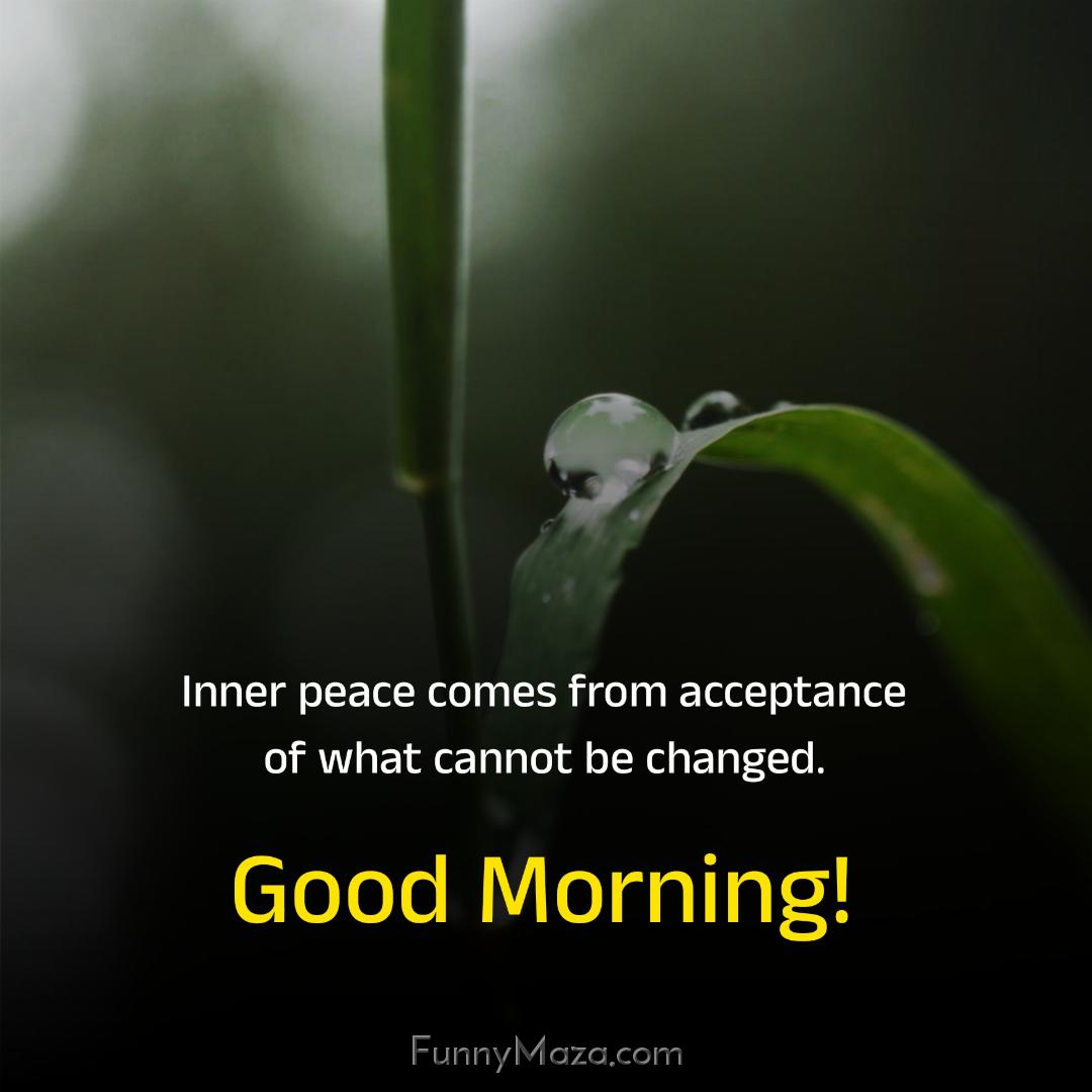 Inner peace comes from acceptance of what cannot be changed