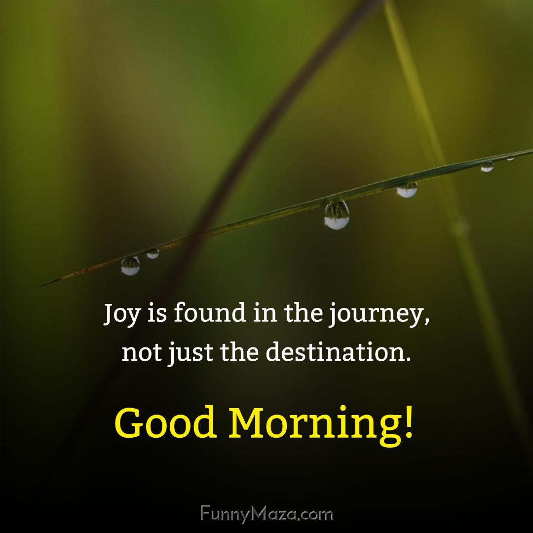 Joy is found in the journey not just the destination