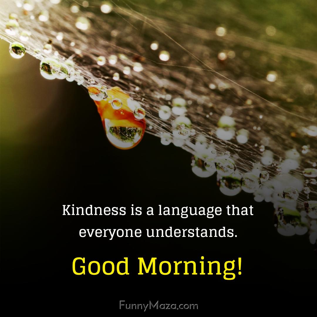 Kindness is a language that everyone understands