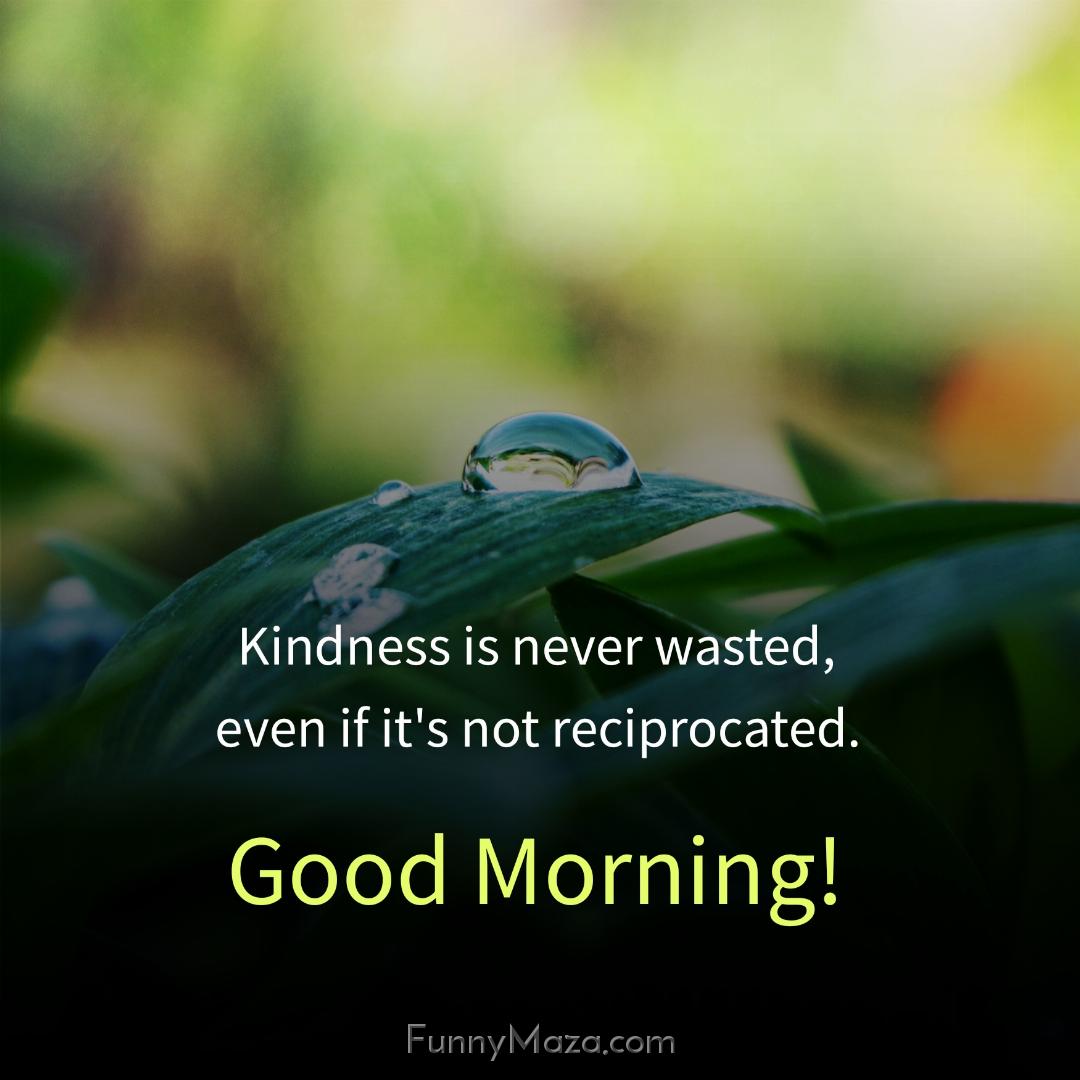 Kindness is never wasted even if it's not reciprocated