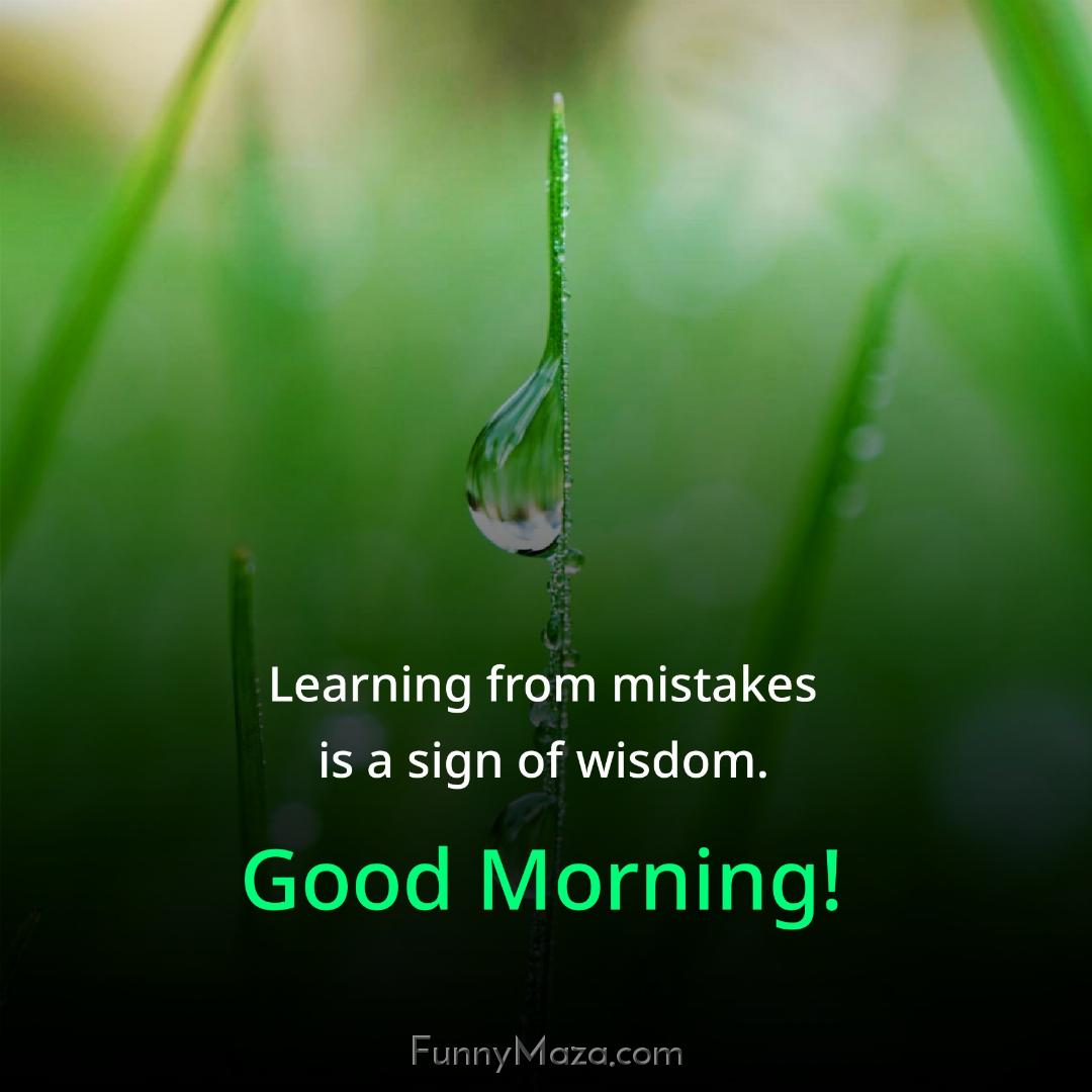 Learning from mistakes is a sign of wisdom