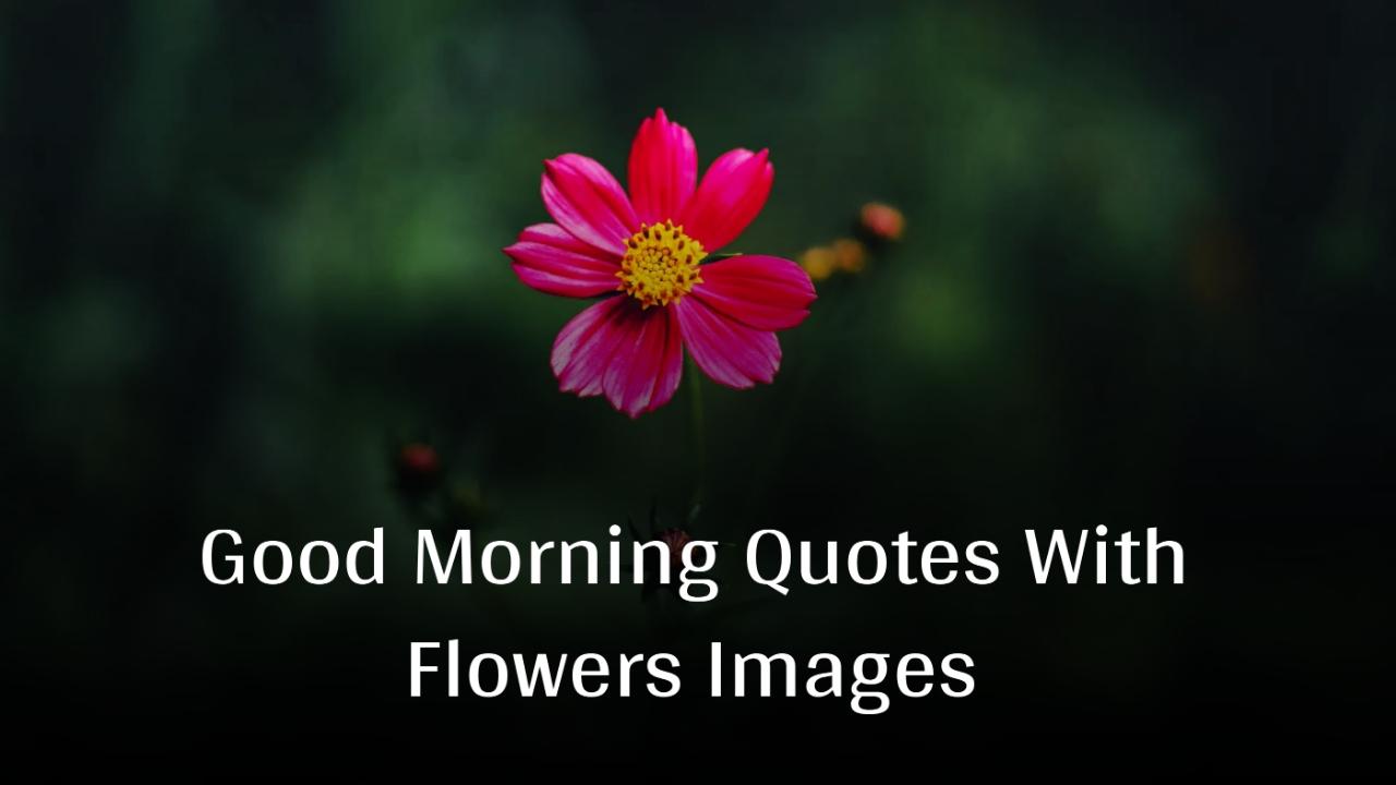 Beautiful Good Morning Quotes With Flowers Images