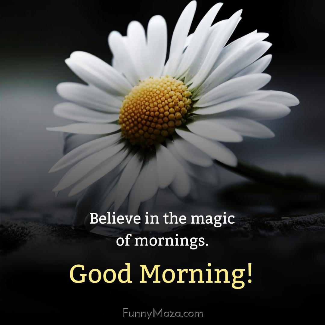 Believe in the magic of mornings