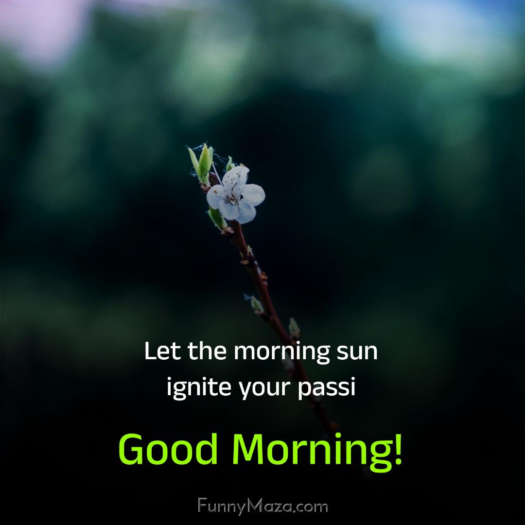 Let the morning sun ignite your passion for life