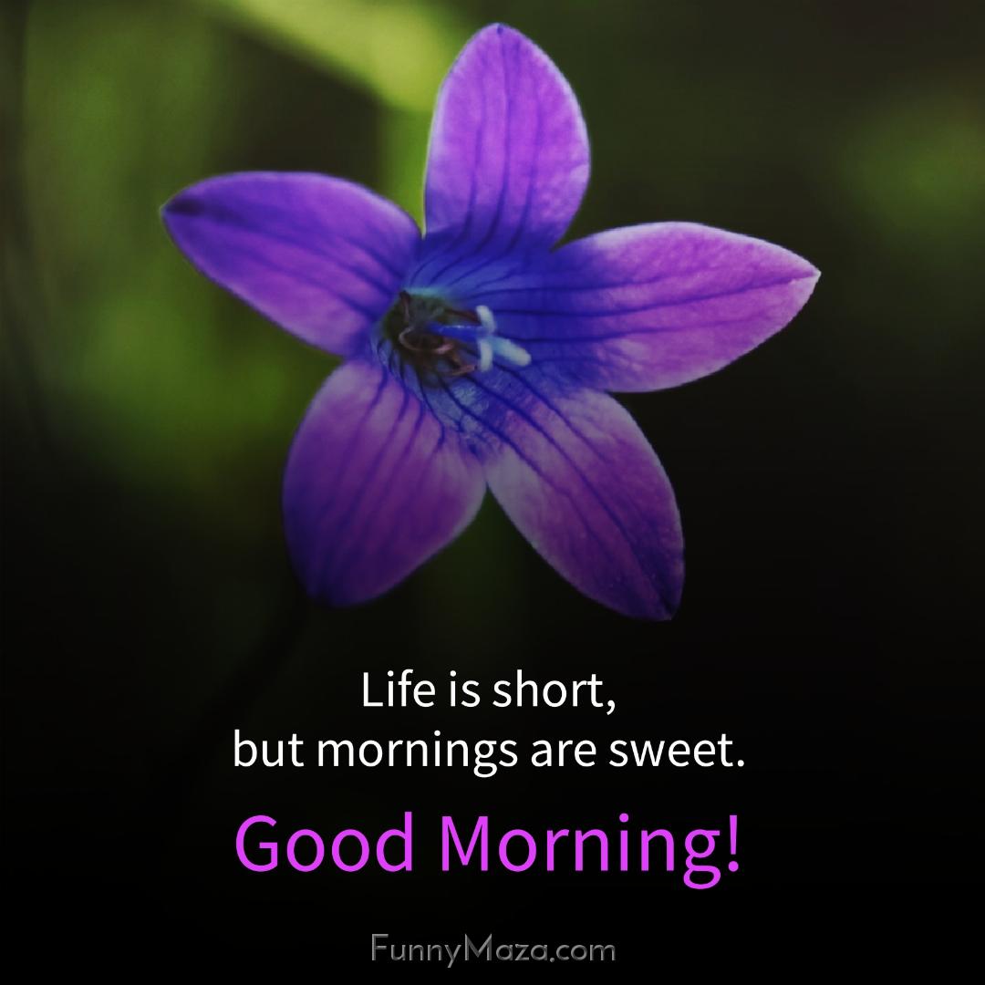 Life is short but mornings are sweet