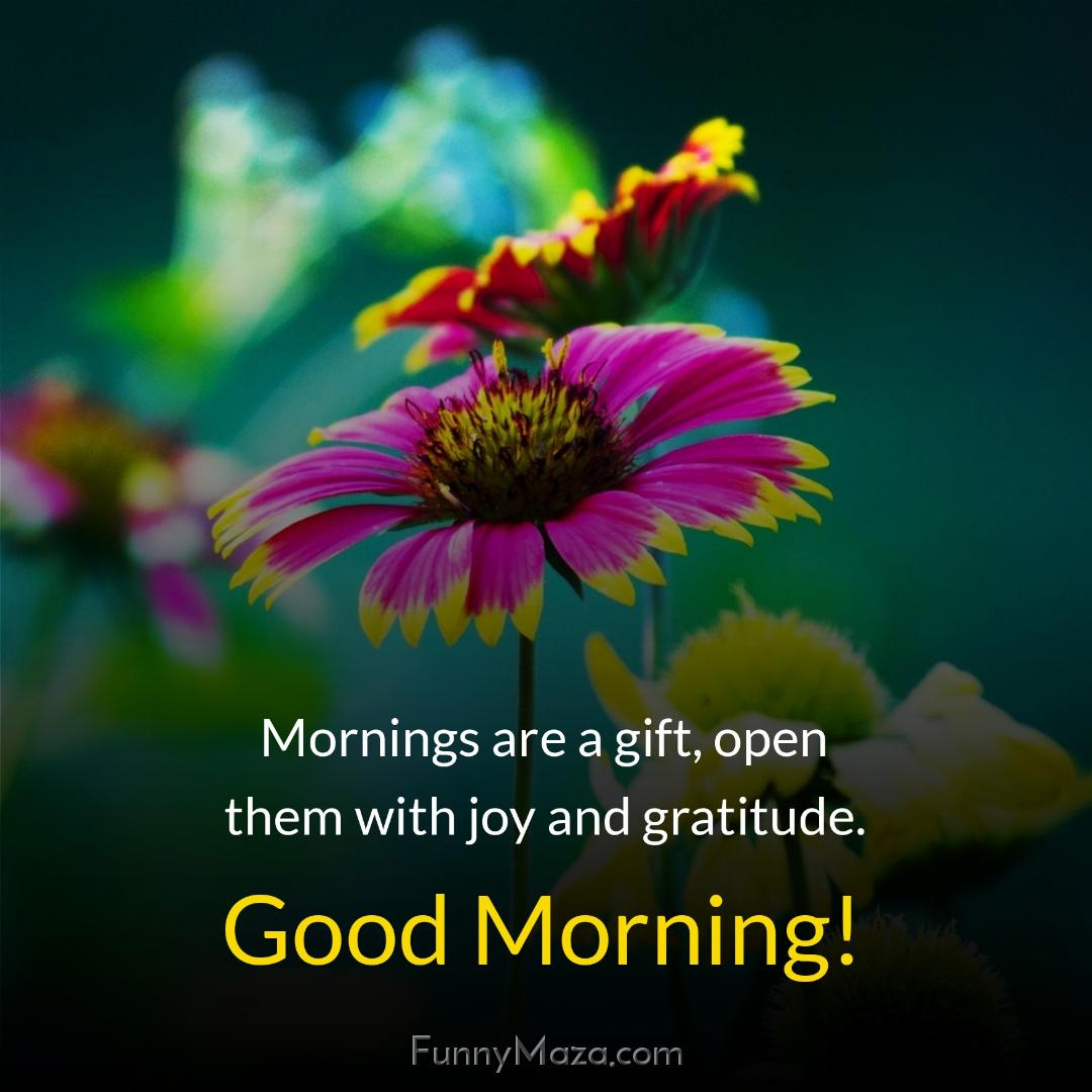 Mornings are a gift open them with joy and gratitude