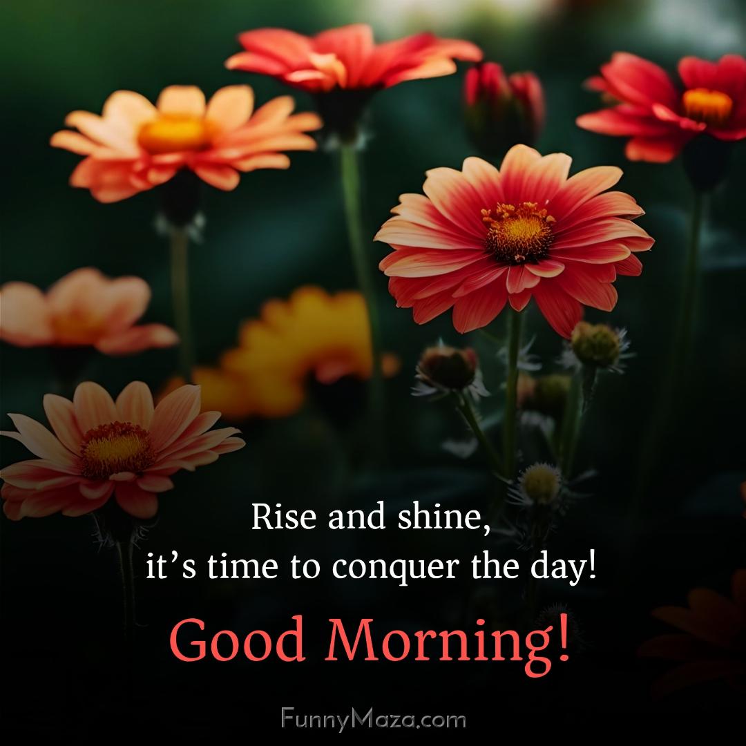 Rise and shine it’s time to conquer the day!