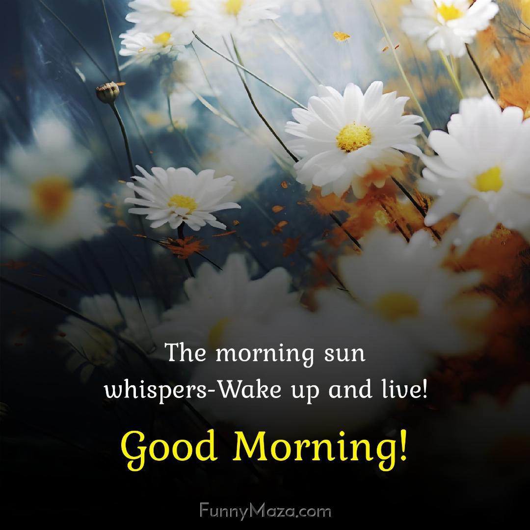 The morning sun whispers-Wake up and live!