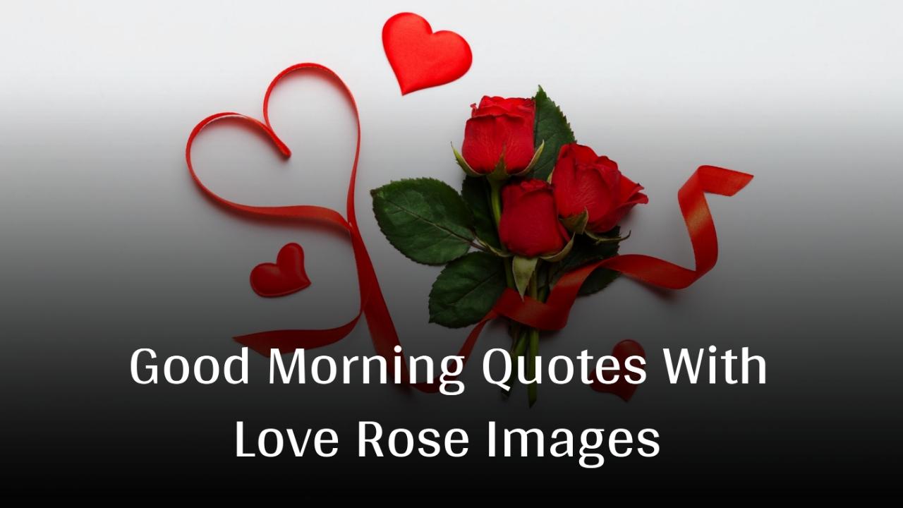 Beautiful Good Morning Quotes With Love Rose Images