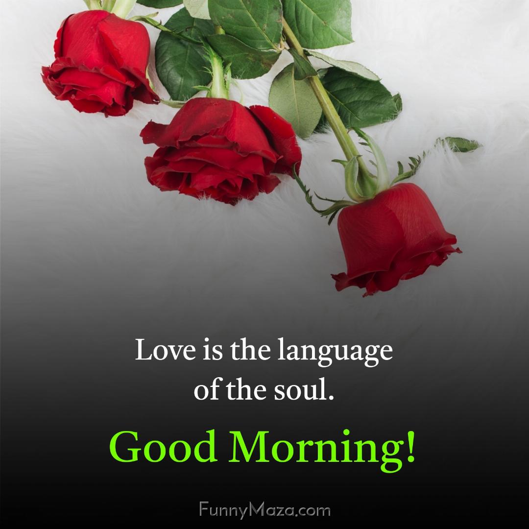 Love is the language of the soul