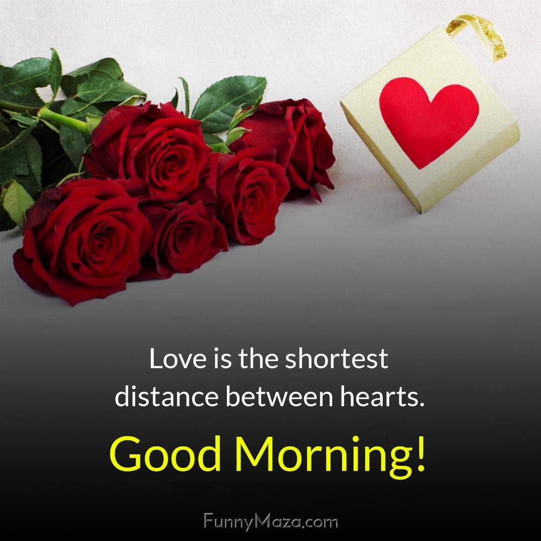 Love is the shortest distance between hearts