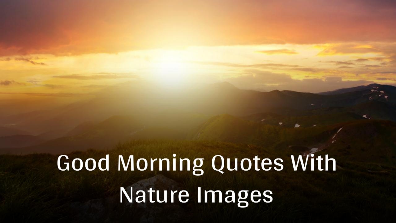 Beautiful Good Morning Quotes With Nature Images