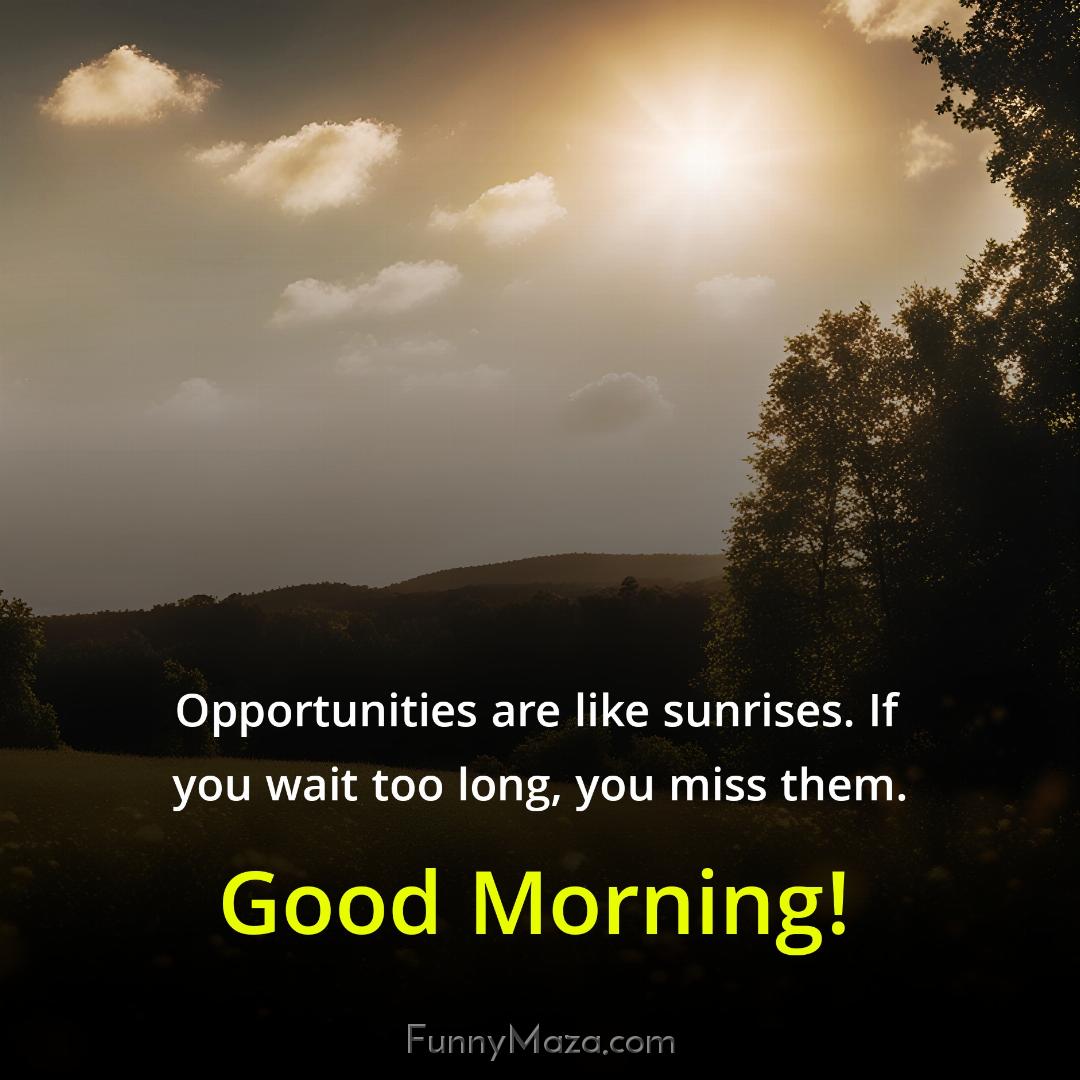 Opportunities are like sunrises If you wait too long you miss