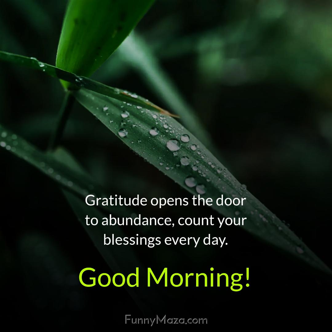 Gratitude opens the door to abundance count your blessings every day