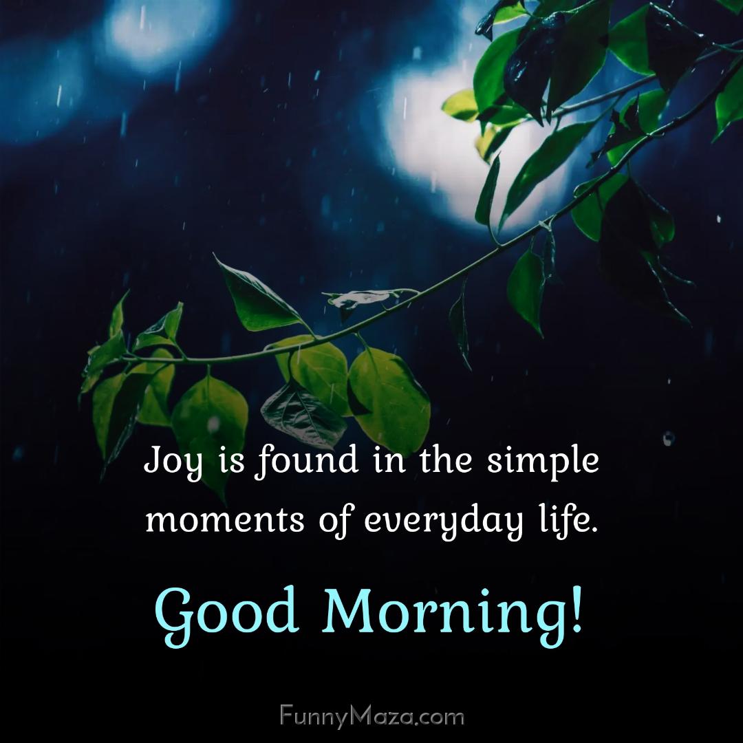 Joy is found in the simple moments of everyday life