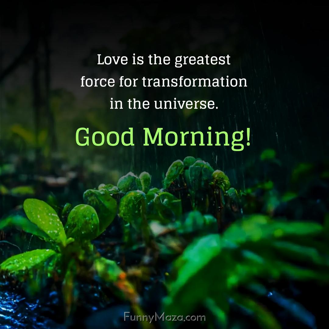 Love is the greatest force for transformation in the universe