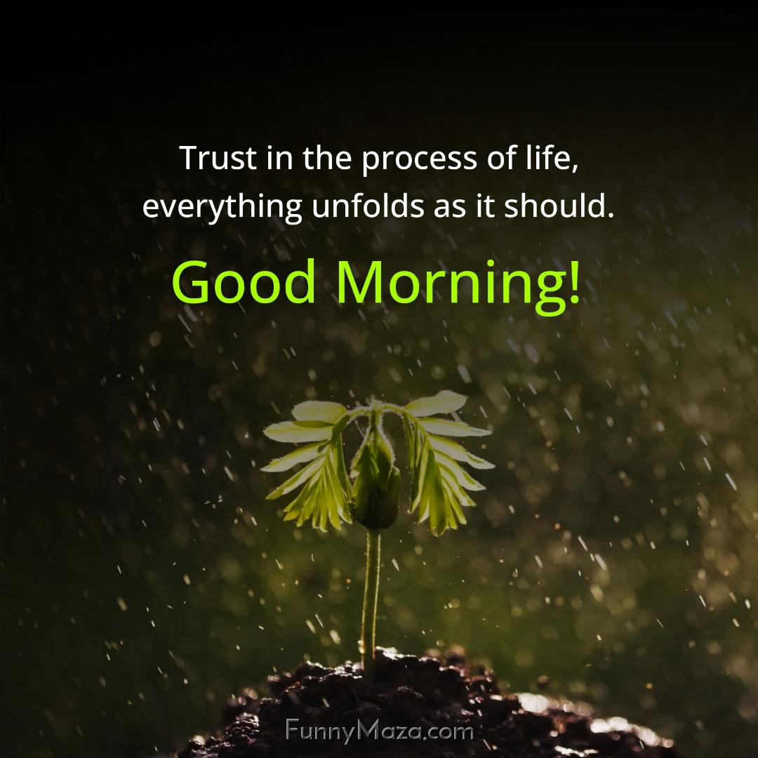 Trust in the process of life everything unfolds as it should