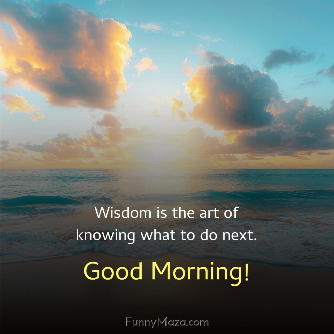 Wisdom is the art of knowing what to do next