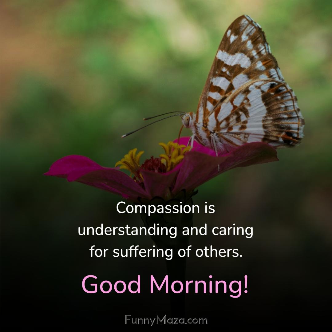 Compassion is understanding and caring for suffering of others