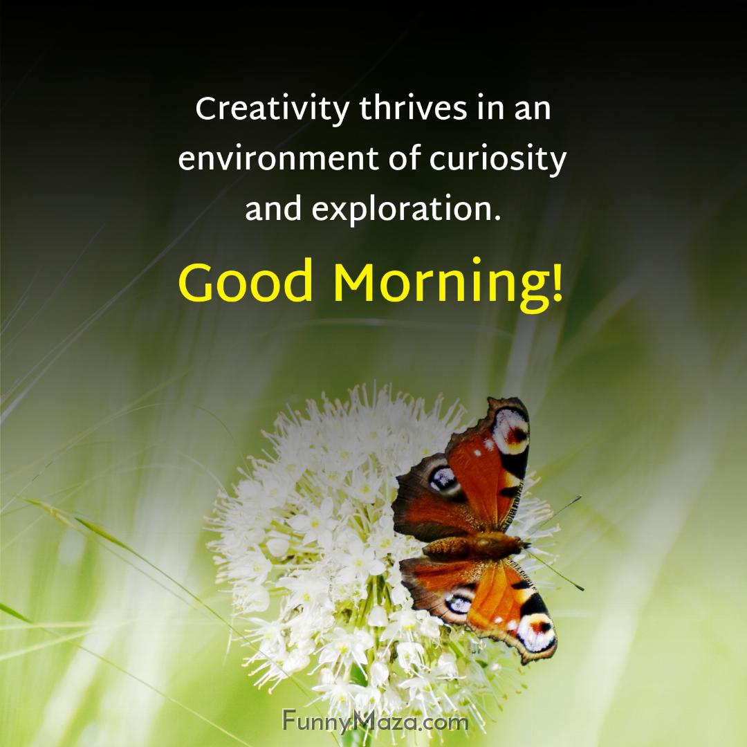 Creativity thrives in an environment of curiosity and exploration