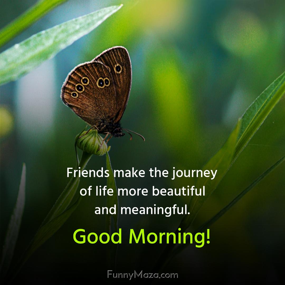 Friends make the journey of life more beautiful and meaningful