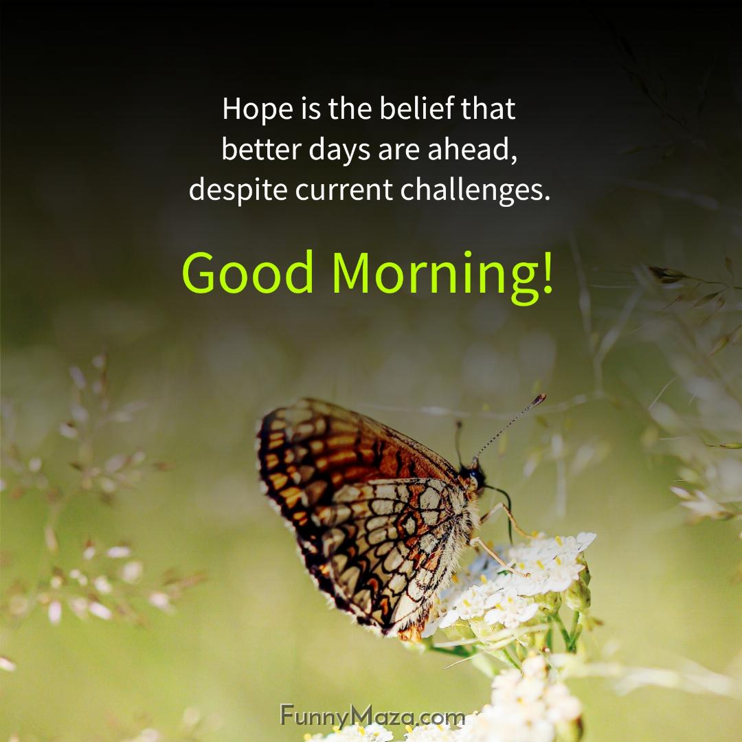 Hope is the belief that better days are ahead despite current