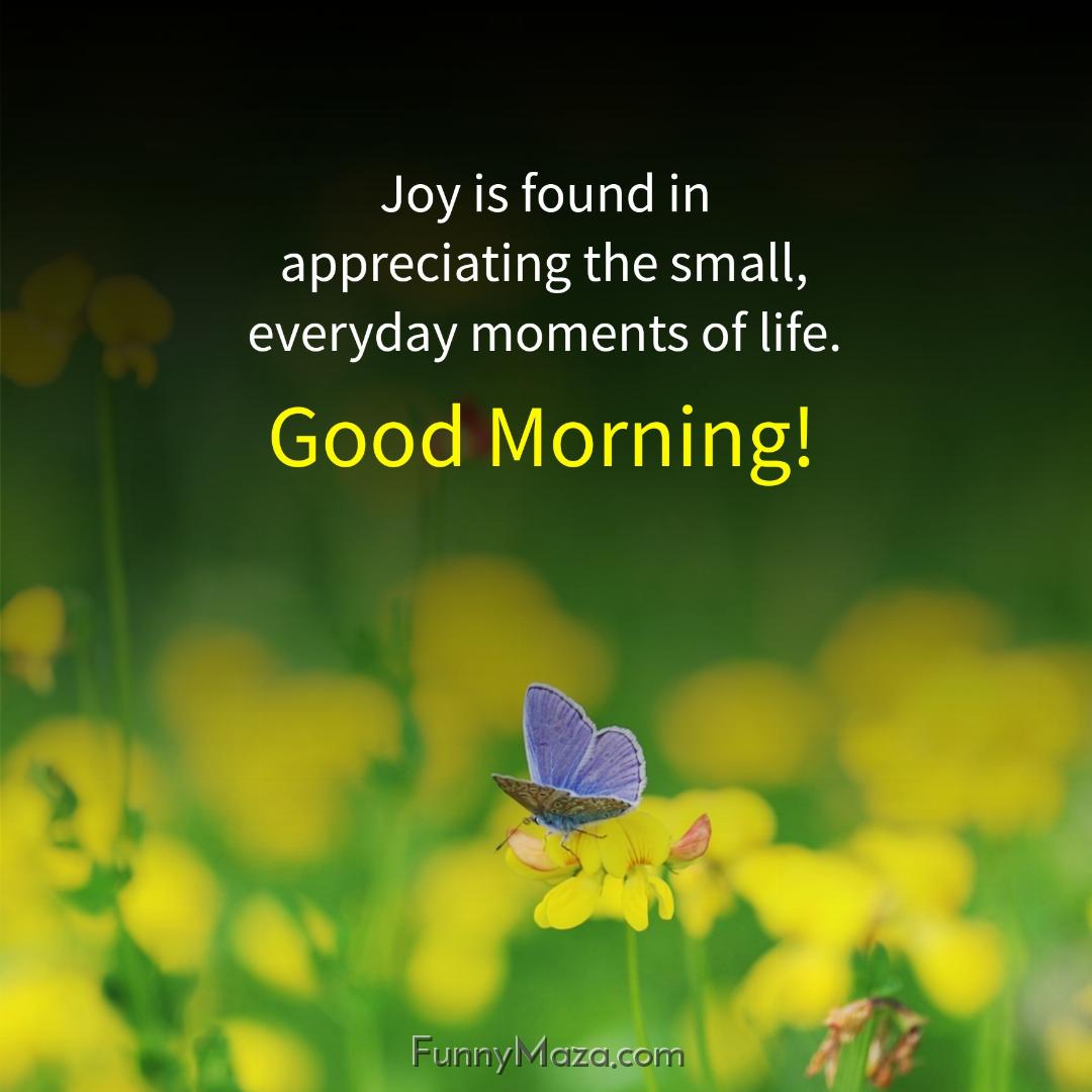 Joy is found in appreciating the small everyday moments of life