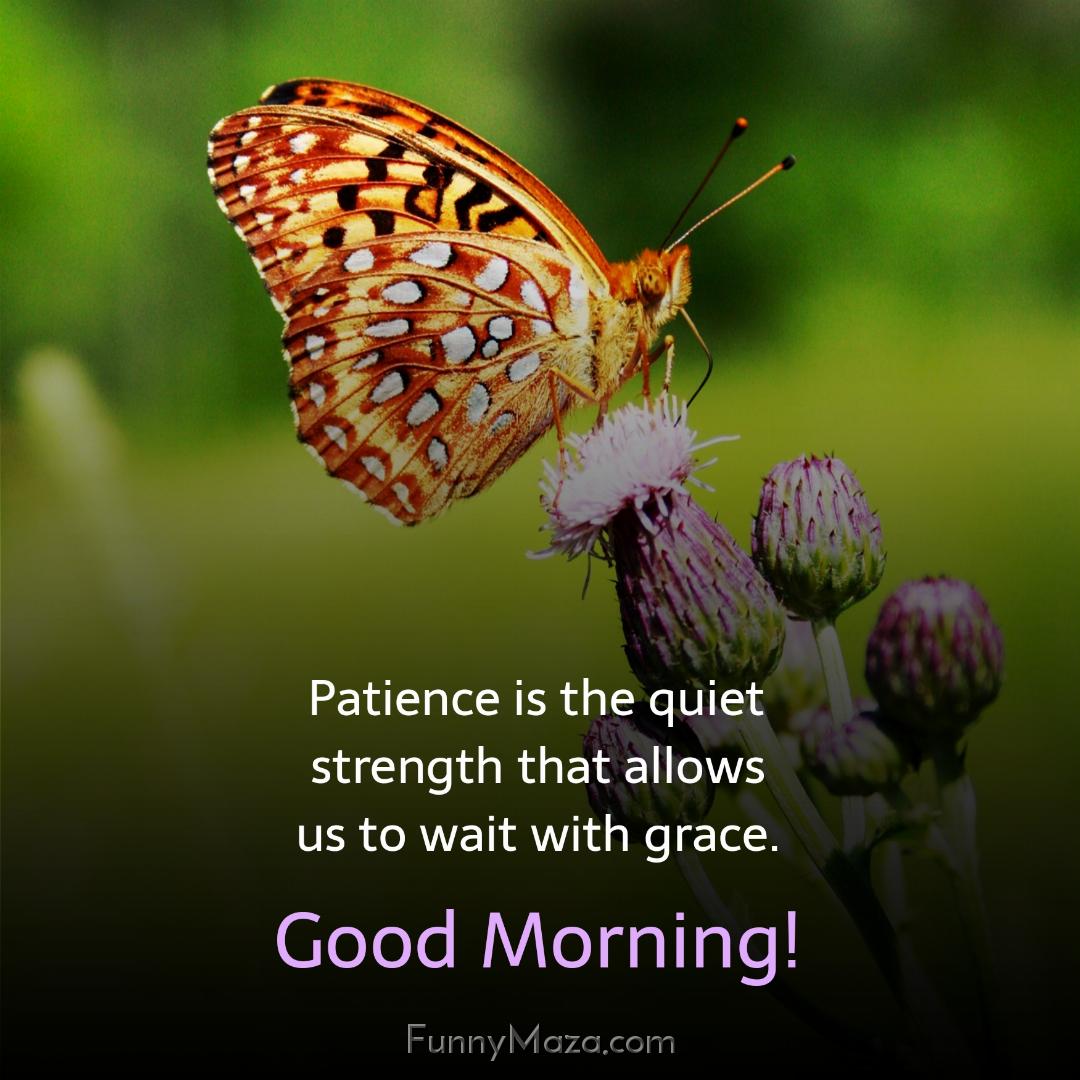 Patience is the quiet strength that allows us to wait with