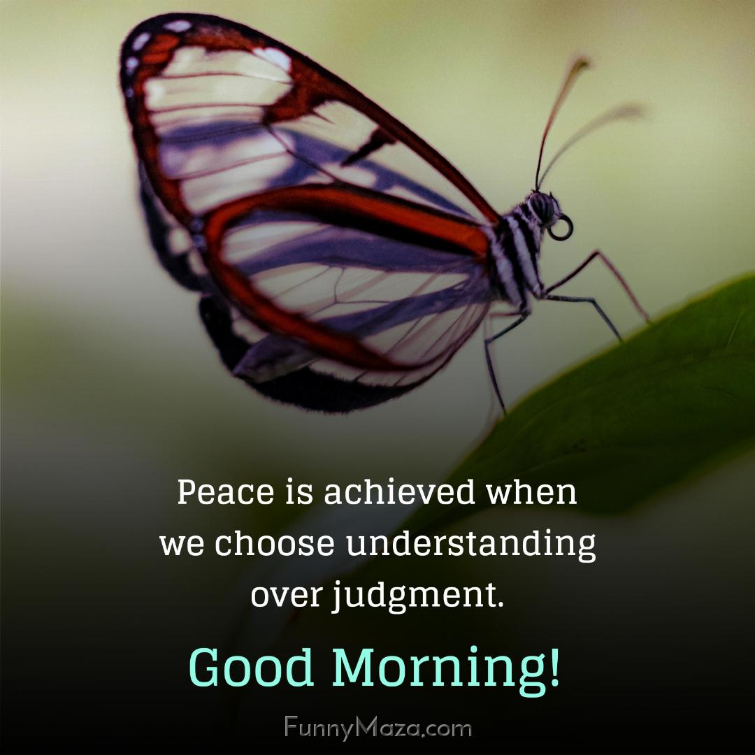 Peace is achieved when we choose understanding over judgment