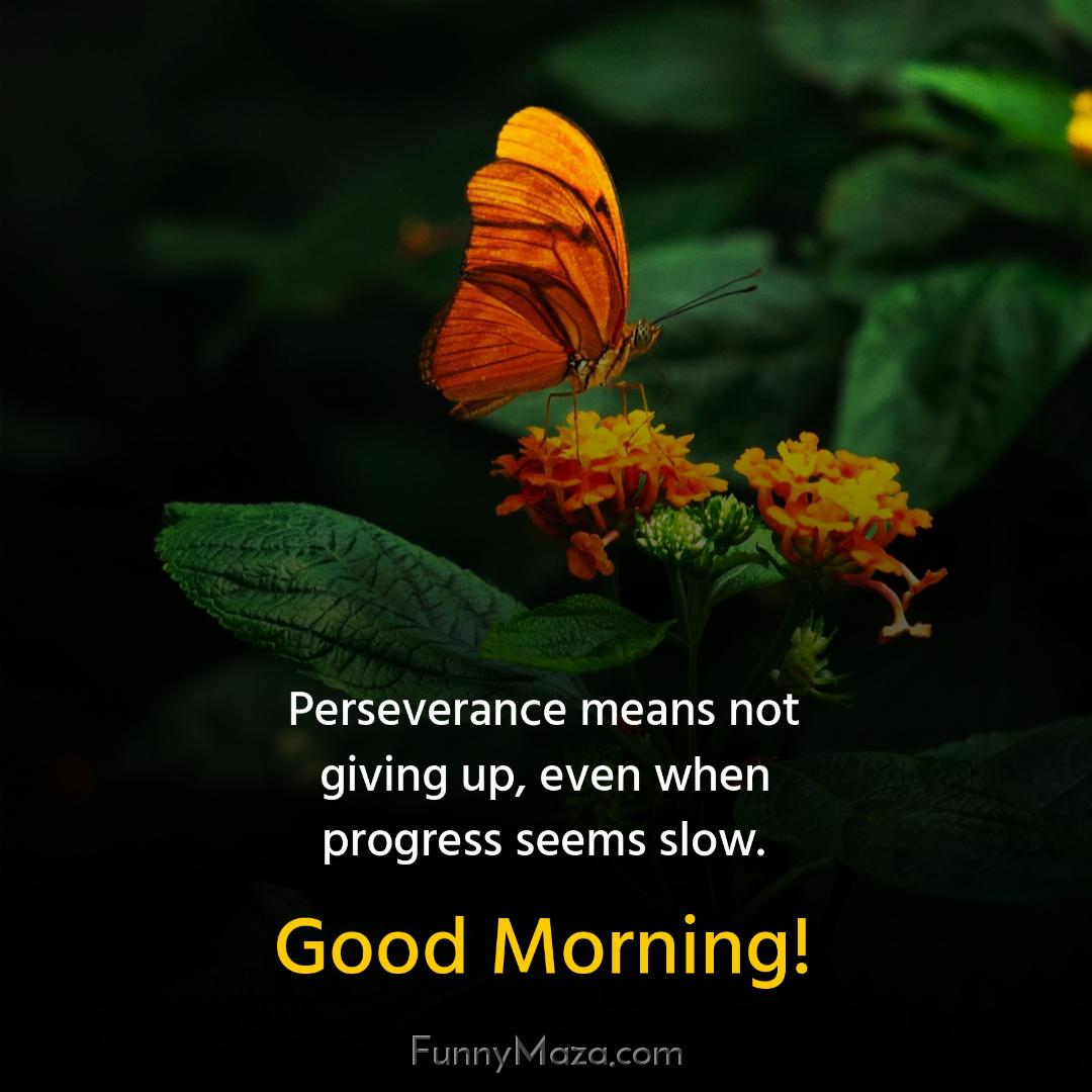 Perseverance means not giving up even when progress seems slow