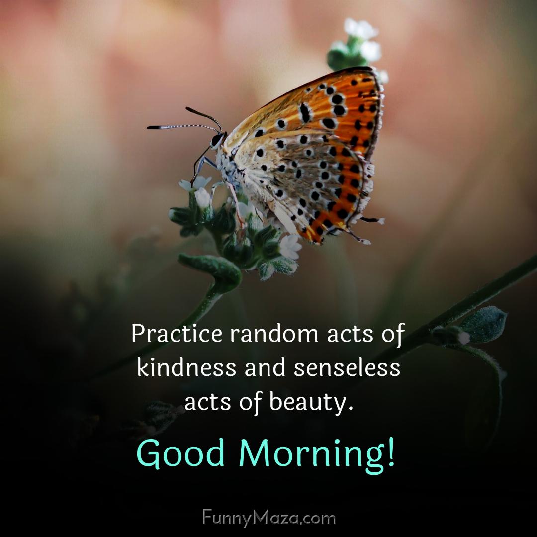 Practice random acts of kindness and senseless acts of beauty