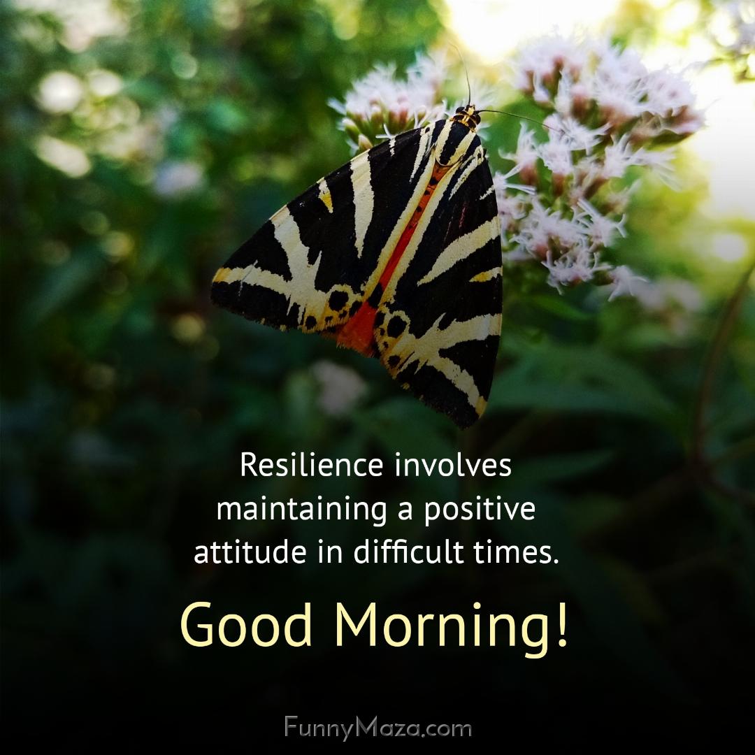 Resilience involves maintaining a positive attitude in difficult times