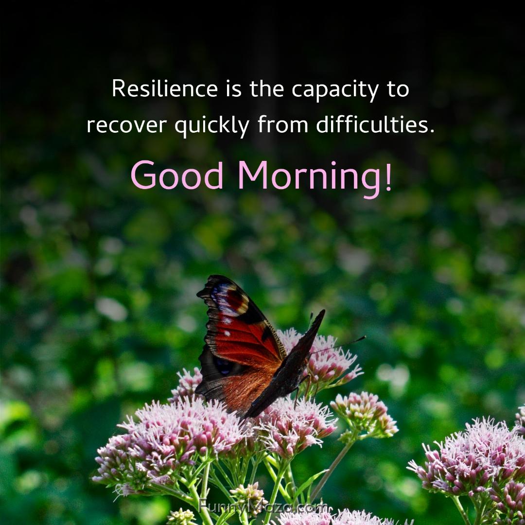 Resilience is the capacity to recover quickly from difficulties