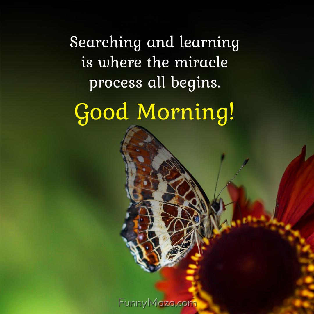 Searching and learning is where the miracle process all begins