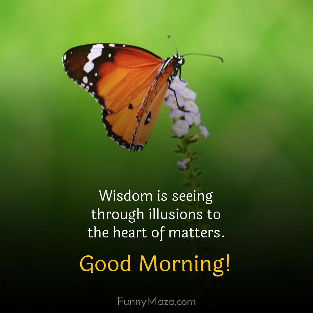 Wisdom is seeing through illusions to the heart of matters