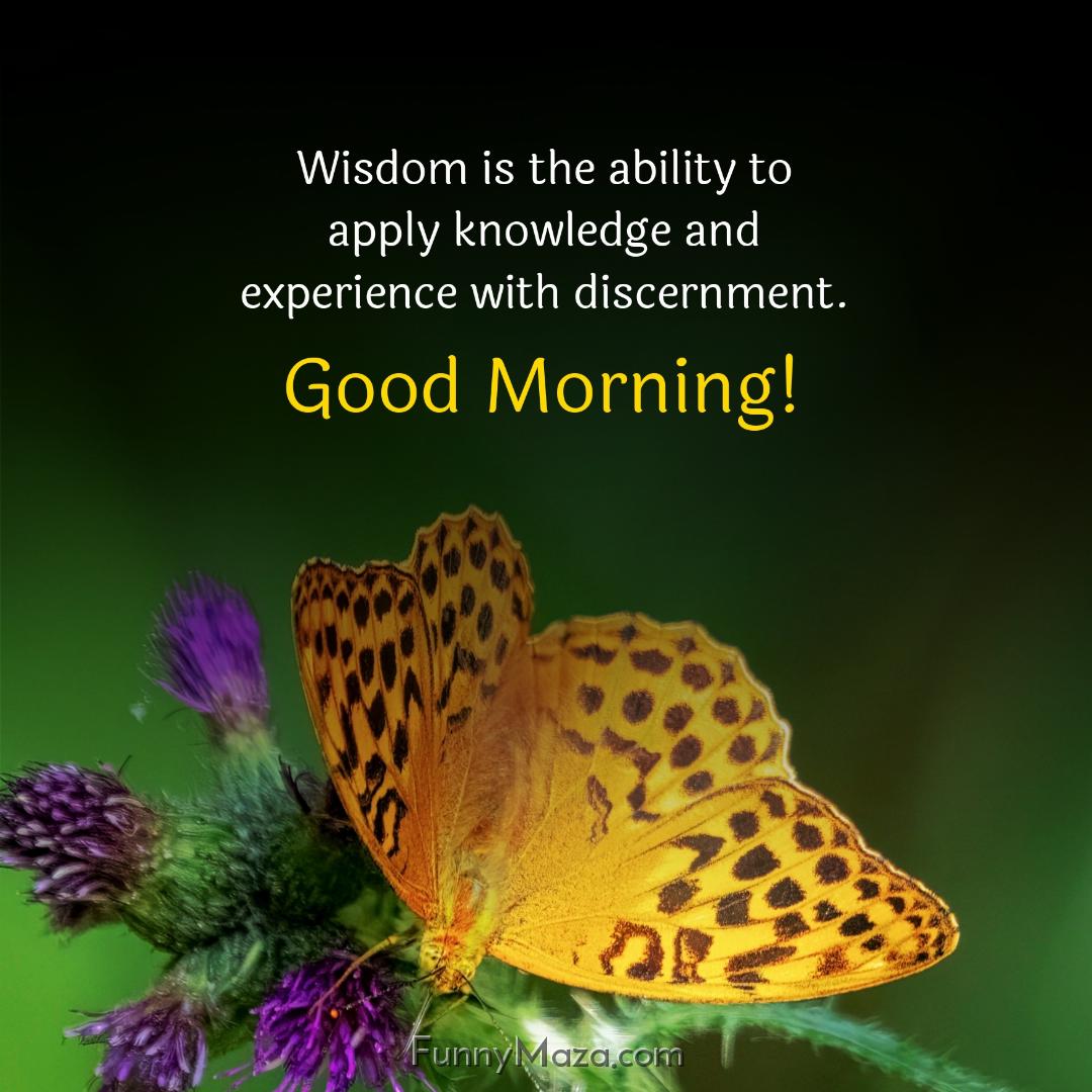 Wisdom is the ability to apply knowledge and experience with discernment