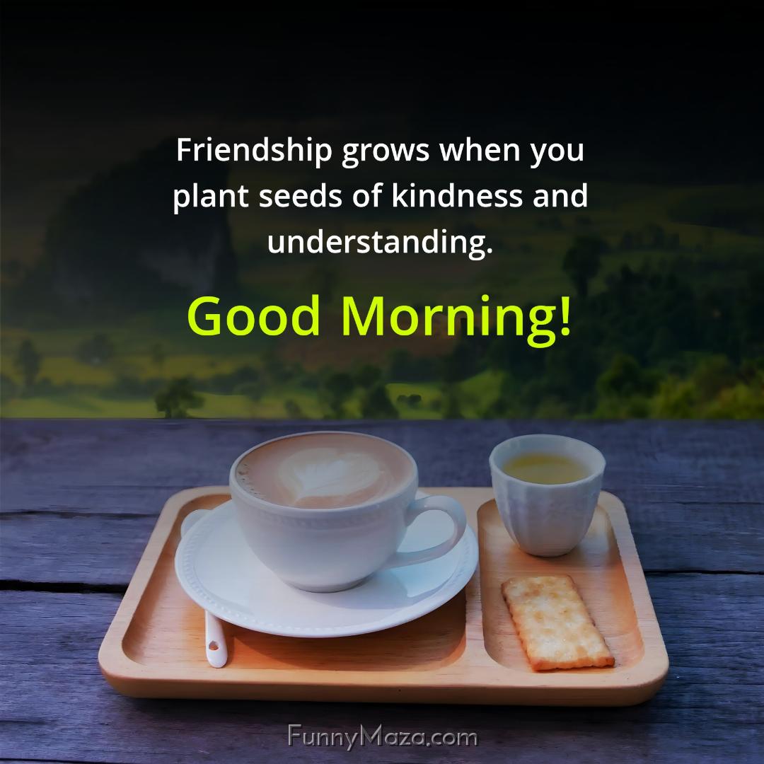 Friendship grows when you plant seeds of kindness and understanding