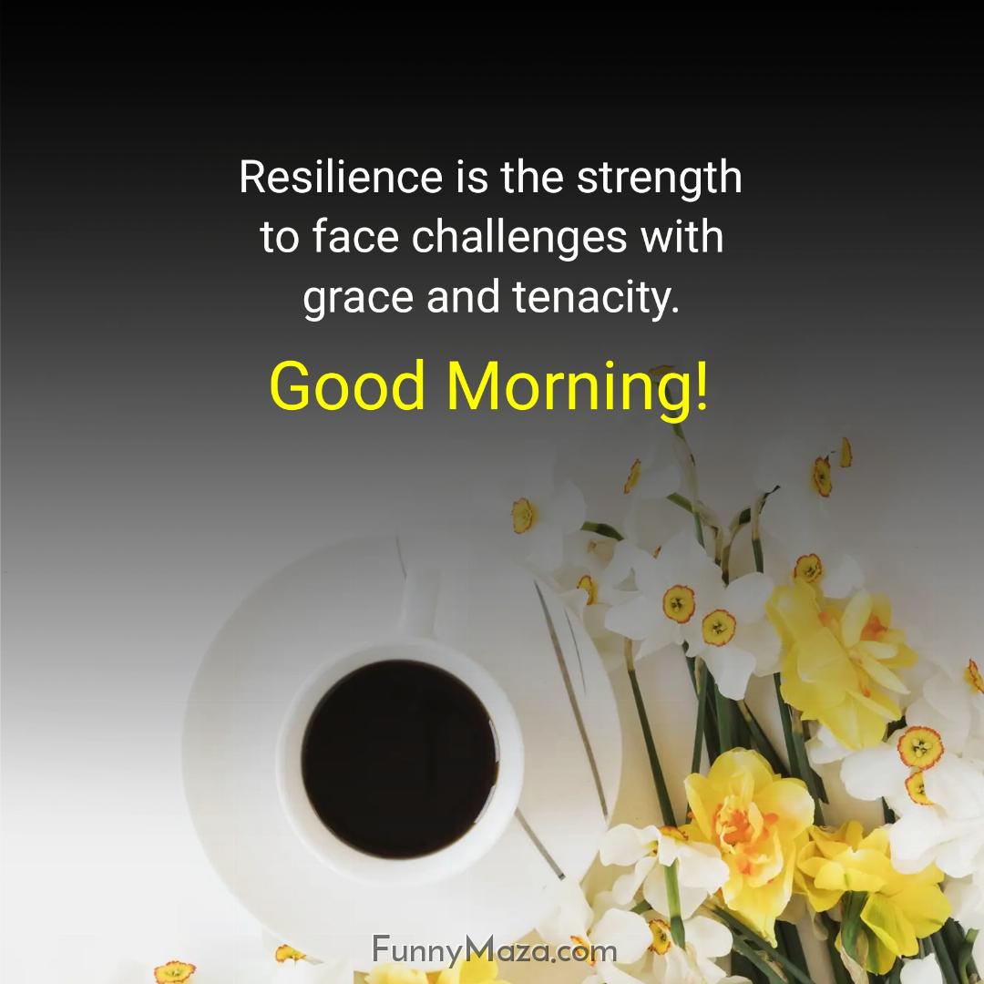 Resilience is the strength to face challenges with grace and tenacity