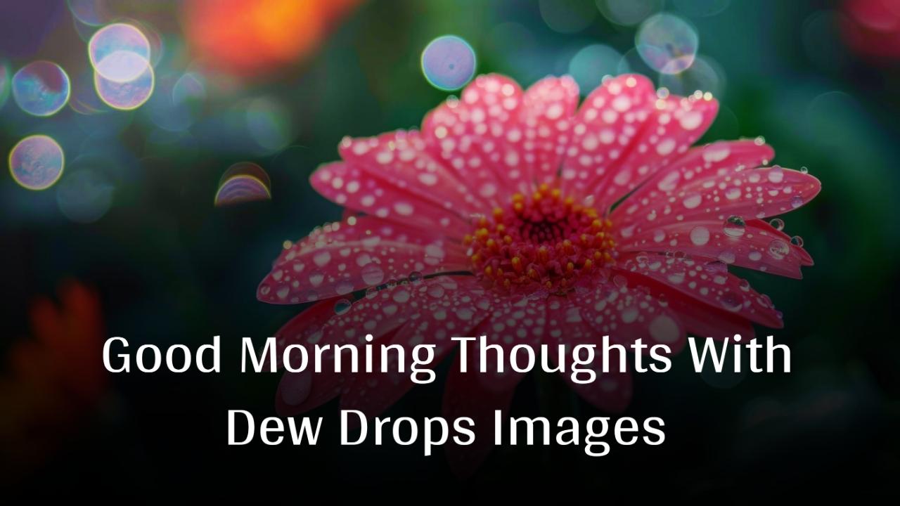 Good Morning Thoughts With Dew Drops Images