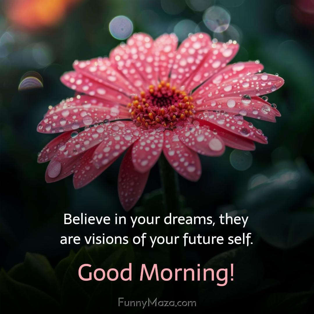 Believe in your dreams they are visions of your future self