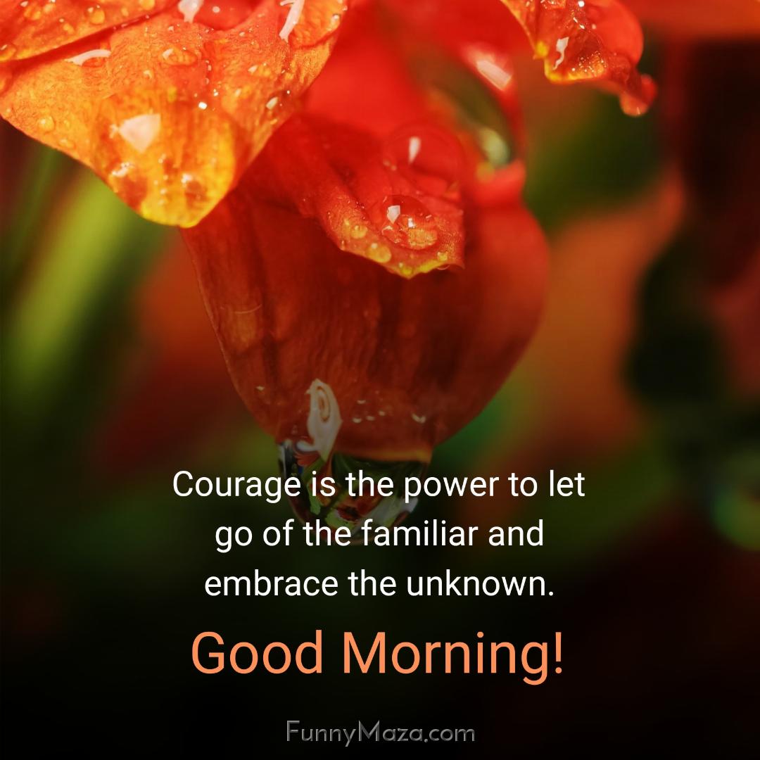 Courage is the power to let go of the familiar and